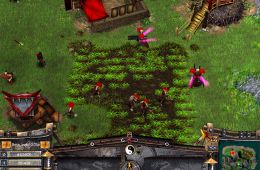 Скриншот из игры «Battle Realms»