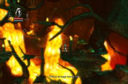 Скриншот из игры «Trine»