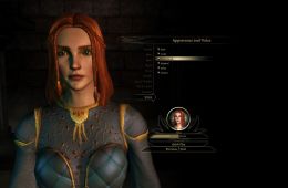 Скриншот из игры «Dragon Age: Origins»