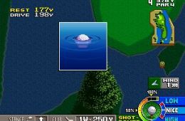 Скриншот из игры «Neo Turf Masters»