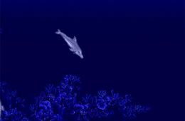 Скриншот из игры «Ecco the Dolphin»