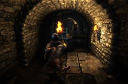 Скриншот из игры «The Witcher 2: Assassins of Kings»
