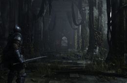 Скриншот из игры «Demon's Souls»