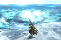 Скриншот из игры «Monster Hunter 4»