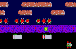 Скриншот из игры «Frogger»