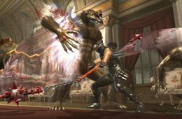 Скриншот из игры «Ninja Gaiden II»