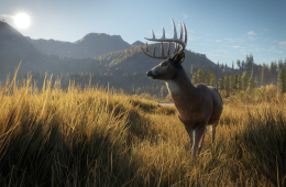 Скриншот из игры «TheHunter: Call of the Wild»