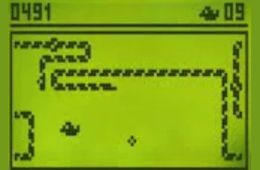 Скриншот из игры «Snake»