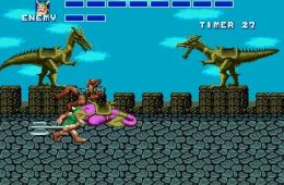 Скриншот из игры «Golden Axe»