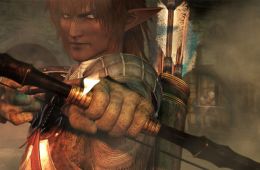 Скриншот из игры «Final Fantasy XI Online»