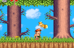 Скриншот из игры «Super Adventure Island II»