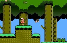 Скриншот из игры «Adventure Island II»