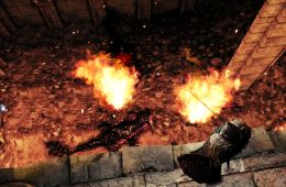 Скриншот из игры «Dark Souls II»