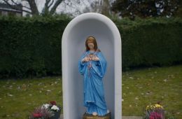 Ирландская кровь