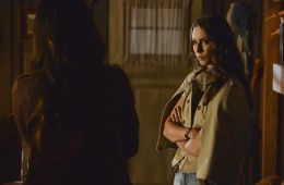 Милые обманщицы