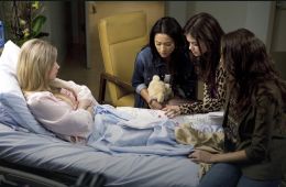 Милые обманщицы