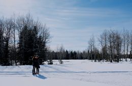 Вайнона Эрп