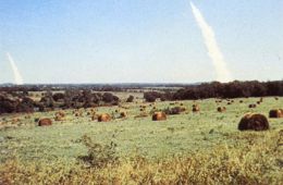 На следующий день