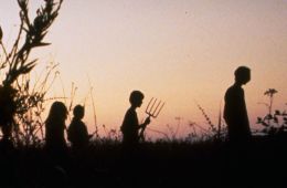 Дети кукурузы 4: Сбор урожая