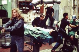 Месть ястреба