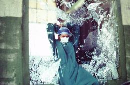 Месть ястреба