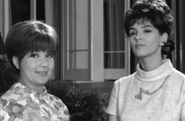 История моей глупости