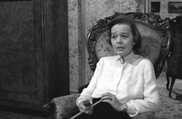 История моей глупости