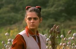 Неясная весть о конце света