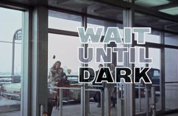 Дождись темноты