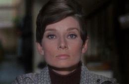 Дождись темноты