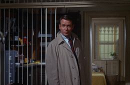 Дождись темноты