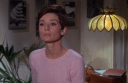 Дождись темноты