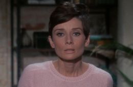 Дождись темноты