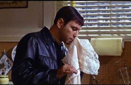 Дождись темноты