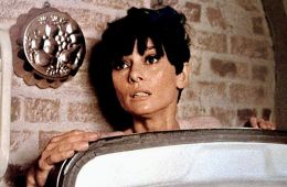 Дождись темноты