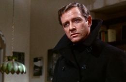 Дождись темноты