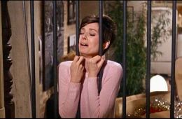 Дождись темноты