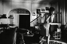 Дождись темноты