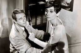 Дождись темноты