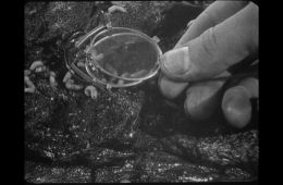 Броненосец «Потёмкин»