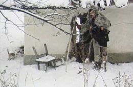 Такая поздняя, такая теплая осень
