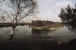 Кадр