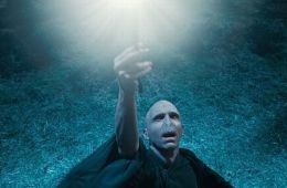Гарри Поттер и Дары смерти: Часть 1