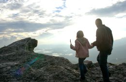 Прощай, Соло