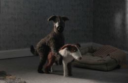 Future Shorts. Весеннее обострение