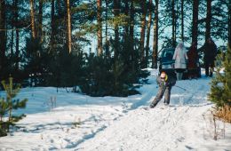 Трое в лифте, не считая собаки