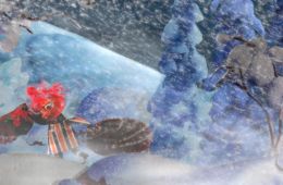Муми-тролли и зимняя сказка