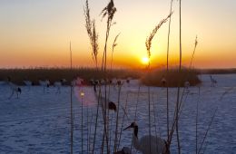 Земля: Один потрясающий день