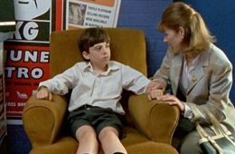 Коалы не виноваты