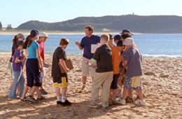 Коалы не виноваты